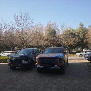 Affordable & Fast Delivery: Dongfeng Nissan GS Original Keys - Factory Direct, ISO Certified Auto Parts
