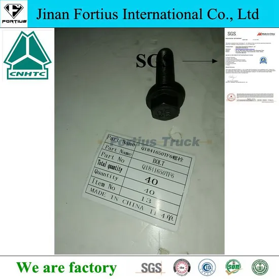Truck-Spare-Parts-Hexagon-Flange-Nut-Bolts-Q1841650TF6-for-Dump-Truck